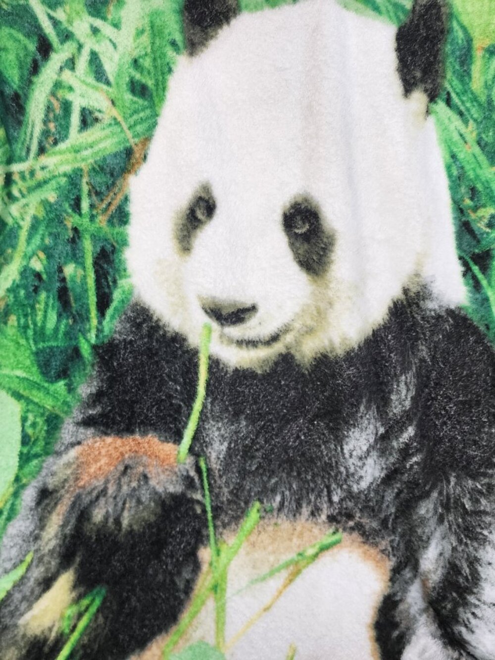 Unbranded Green White Black Brown SuperSoft Poly Fleece 45"x60" Panda Blanket - Picture 11 of 16